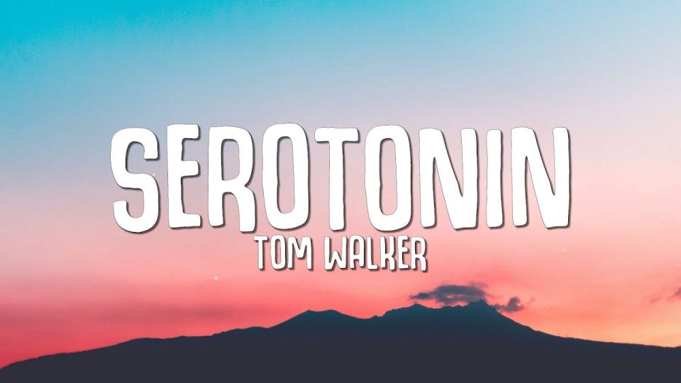 ~ kant Erge, ernstige Inwoner Tom Walker – Serotonin (Lyrics) - Watch Full Movie
